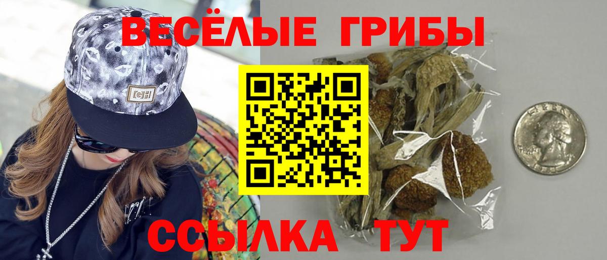 Псилоцибиновые грибы Psilocybine cubensis  Вход с VPN  Ижевск 