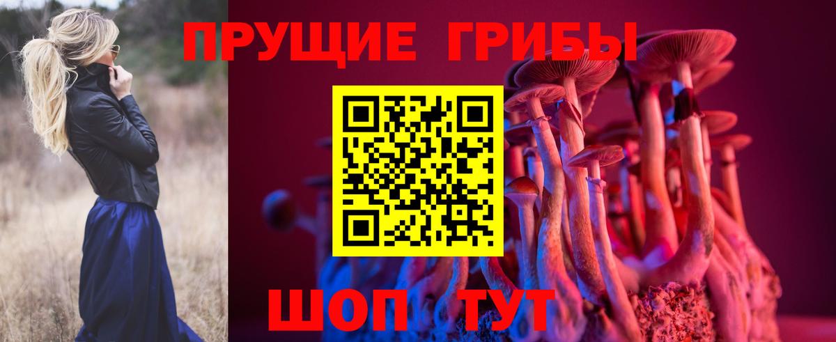 Псилоцибиновые грибы прущие грибы Ижевск